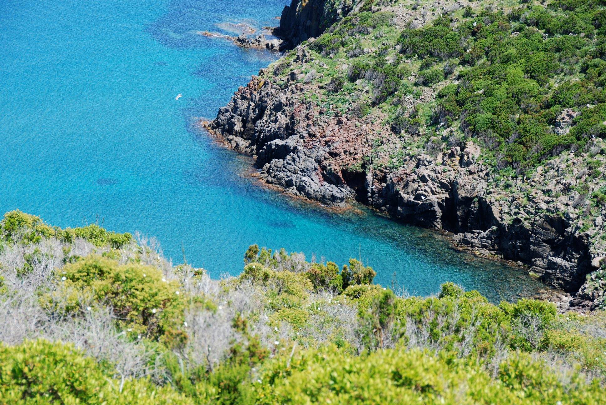 Cala della Mortola