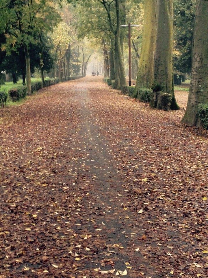 Cascine