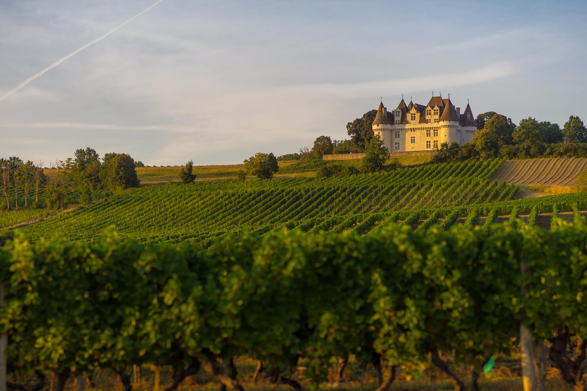 castello francia