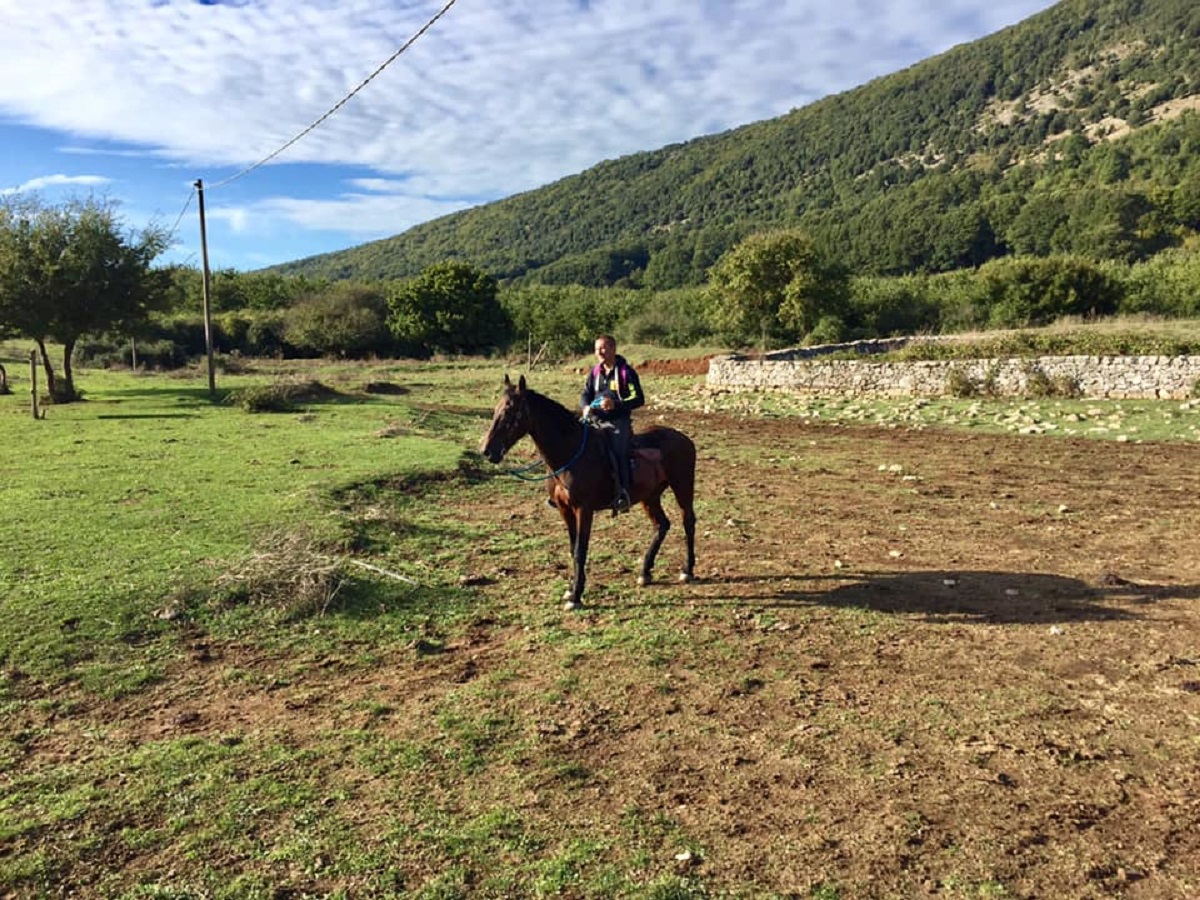 cavallo