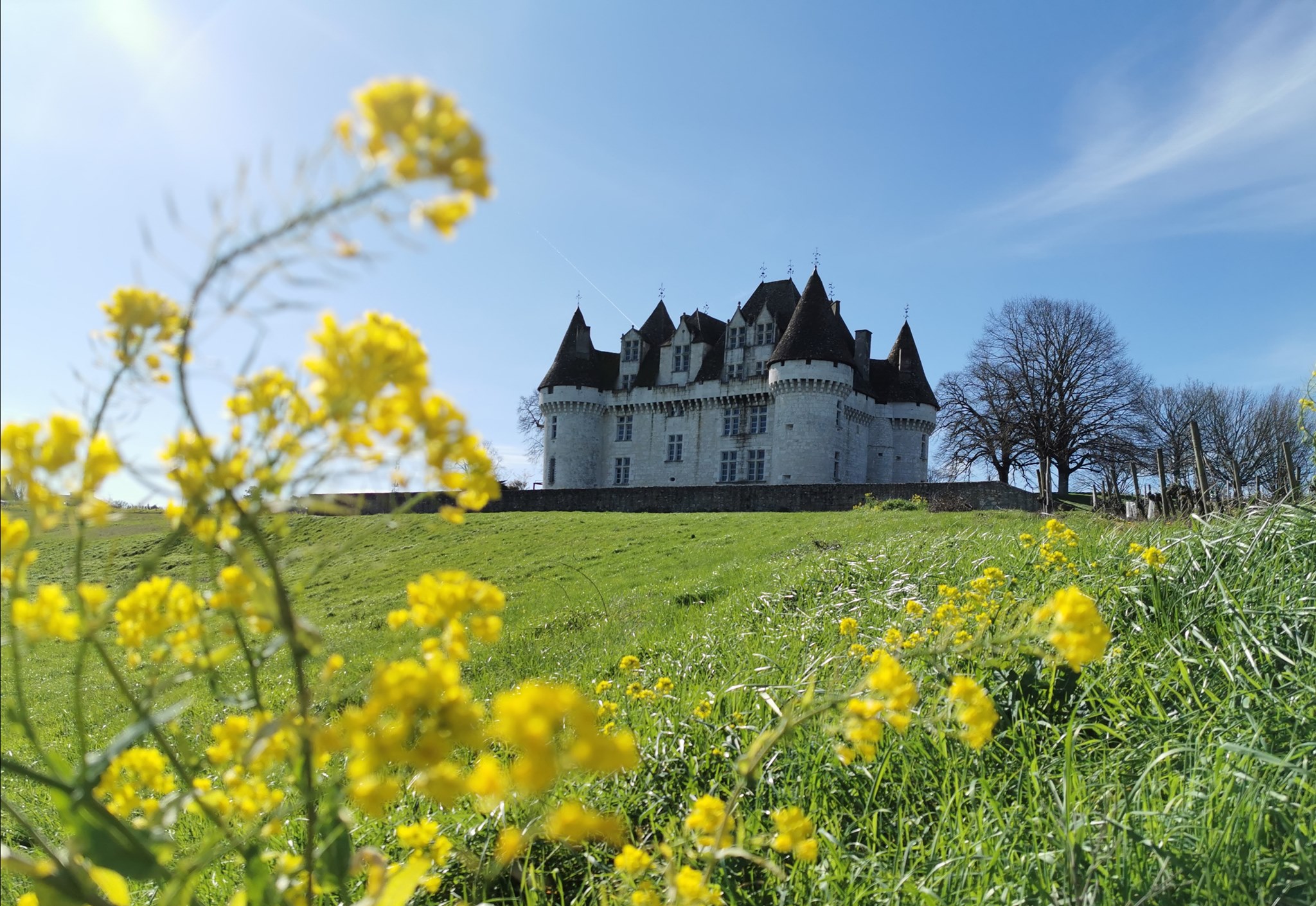 Château de Monbazillac