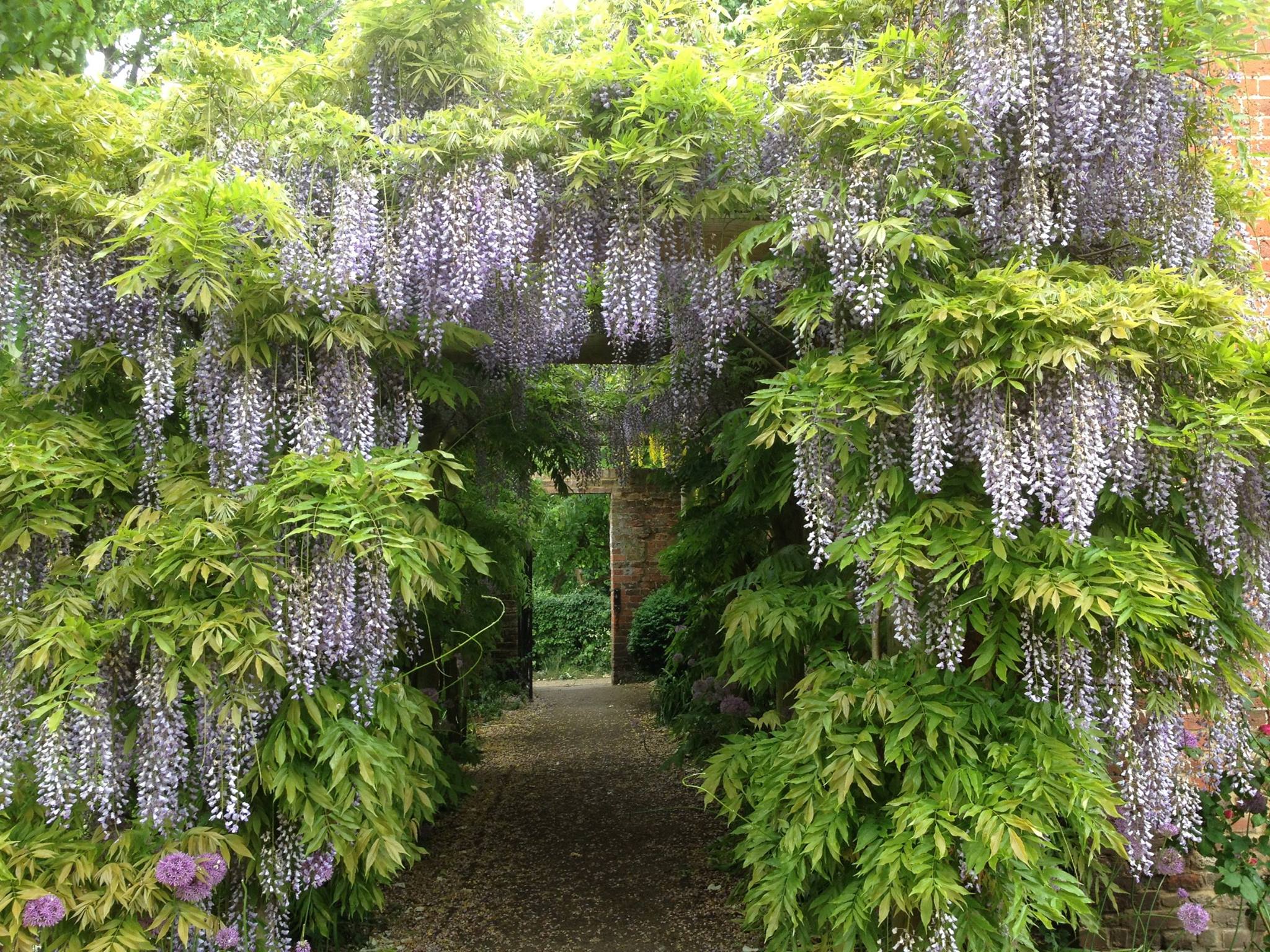 Eastcote Gardens