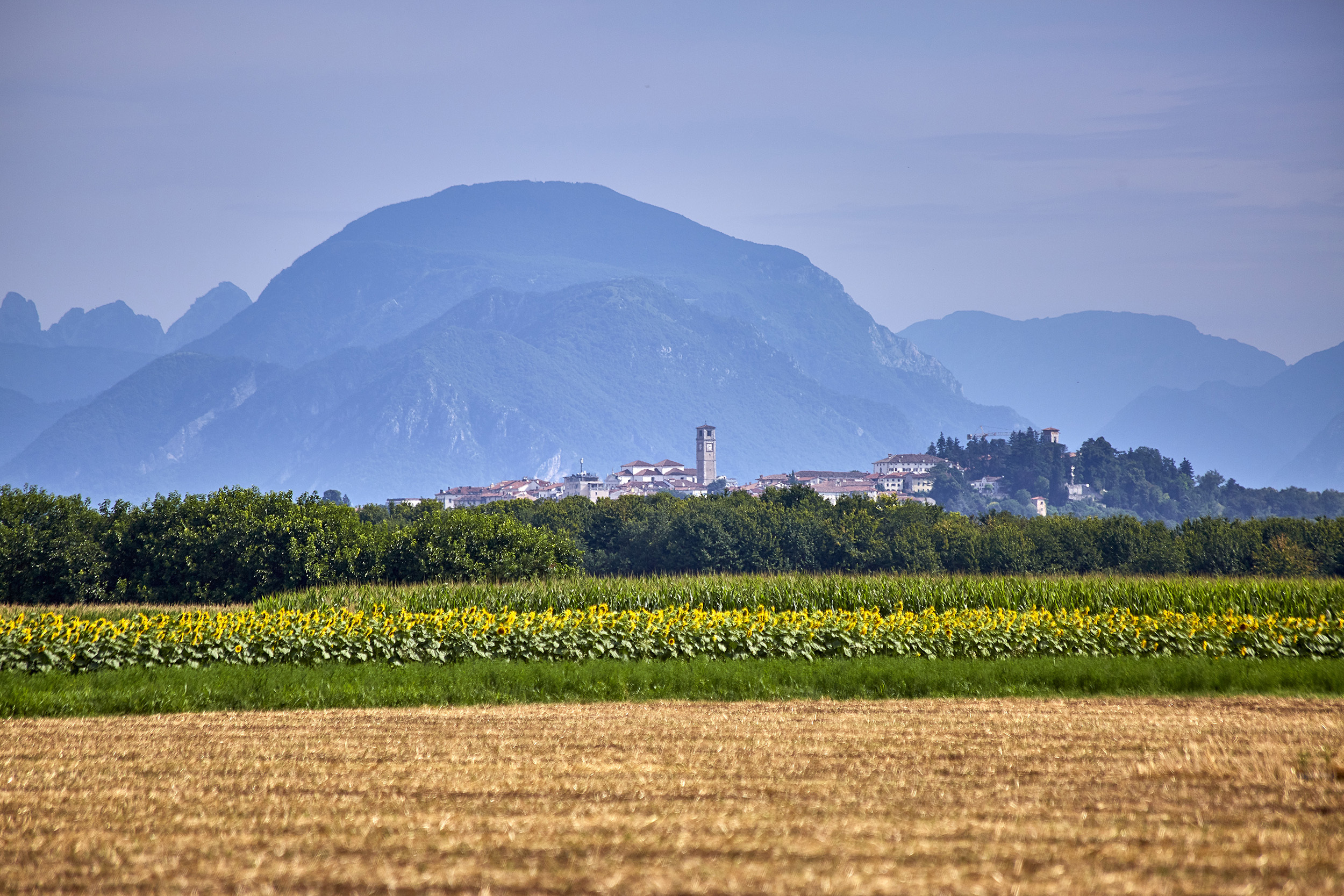 friuli