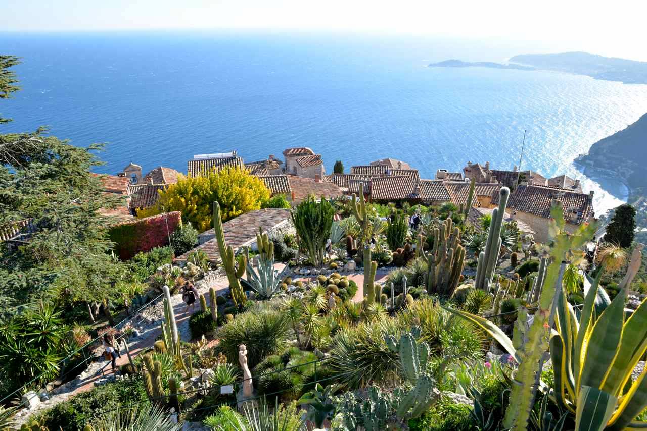 Giardino