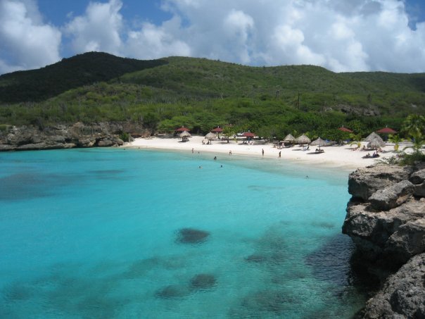 Grote Knip