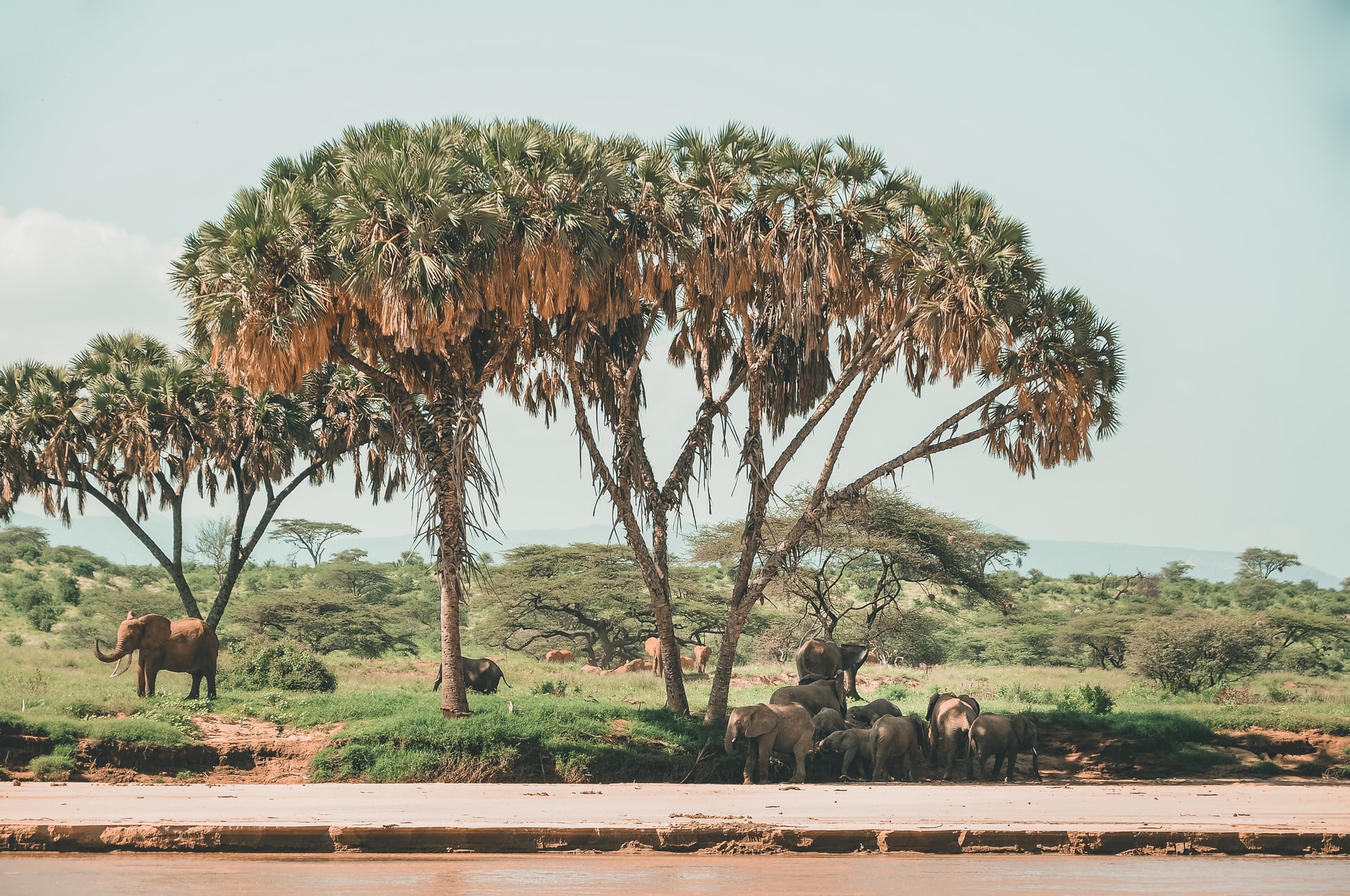 Riserva nazionale Samburu