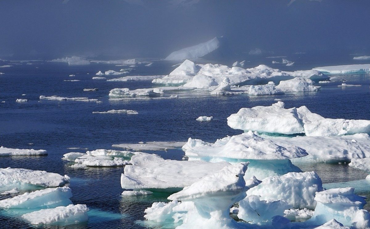 icebergs