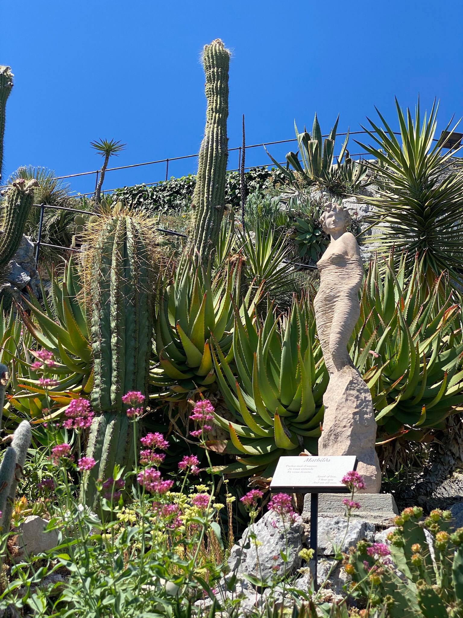 Jardin