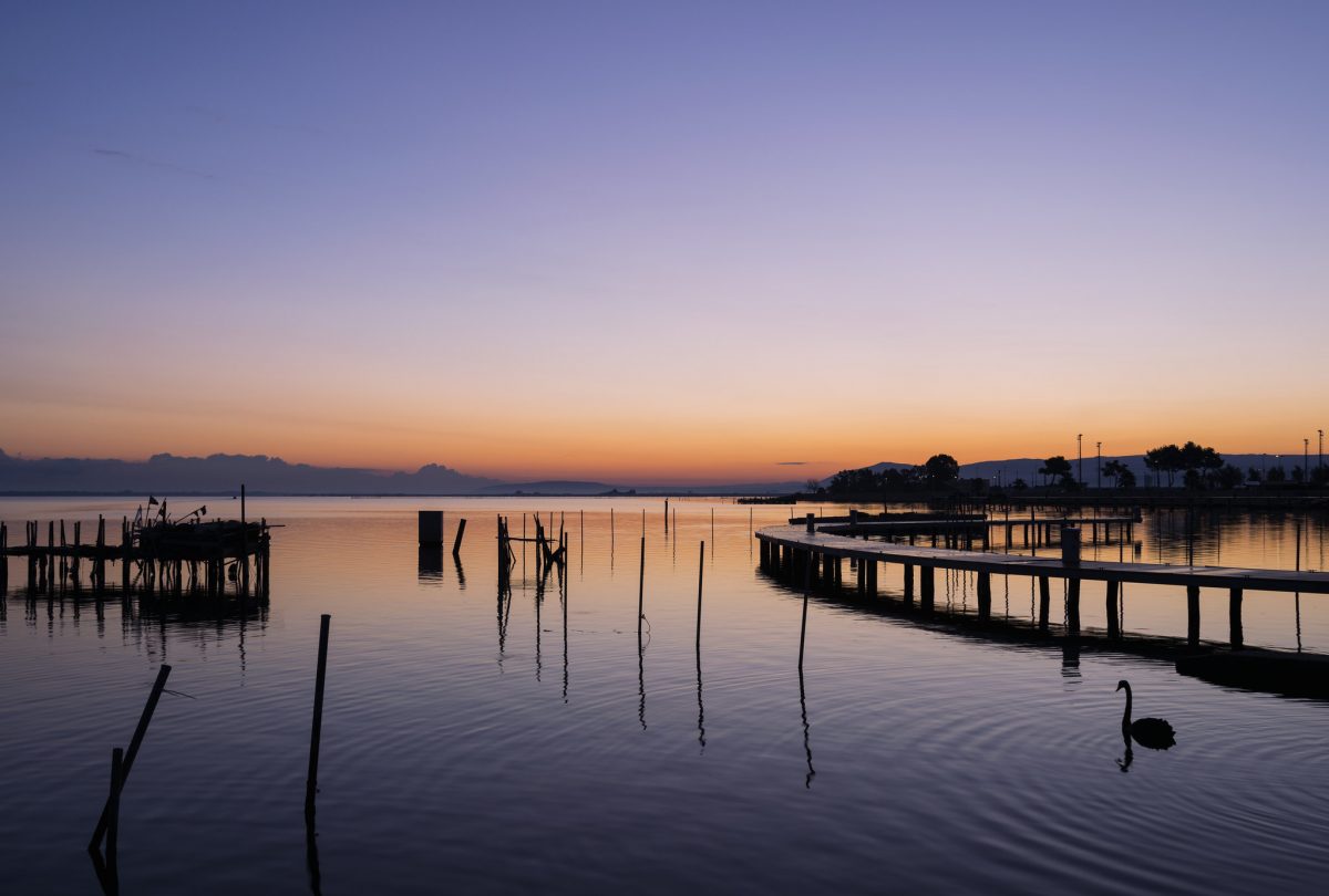 lesina