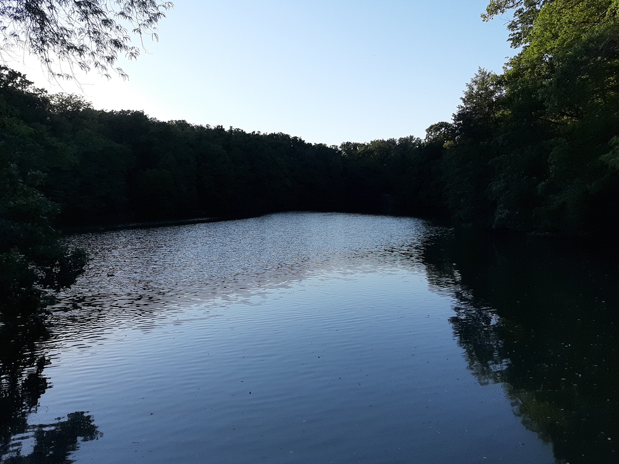 Maksimir