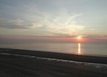 milano marittima spiaggia per cani