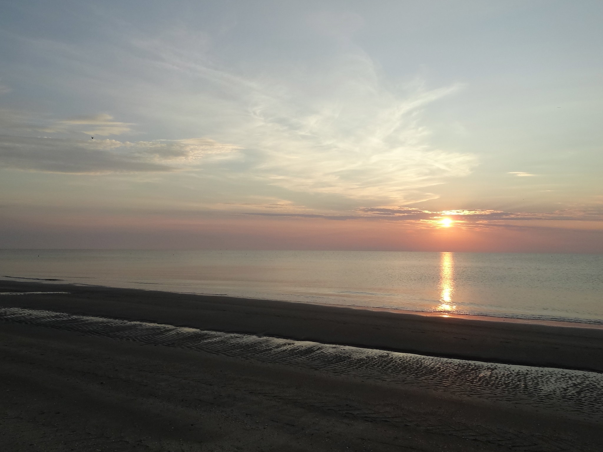 milano marittima spiaggia per cani