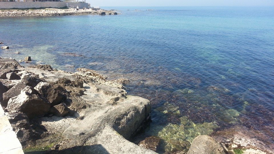 molfetta
