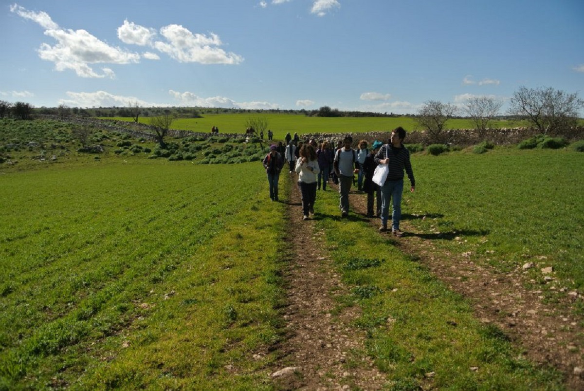 murgia 2