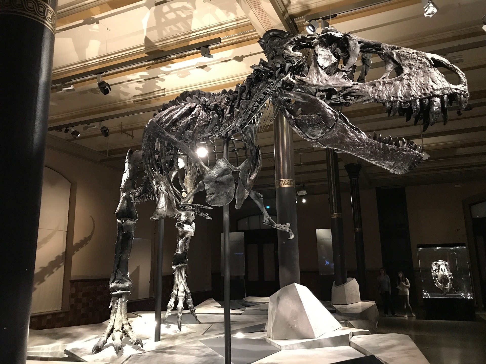 musei dinosauri nel mondo