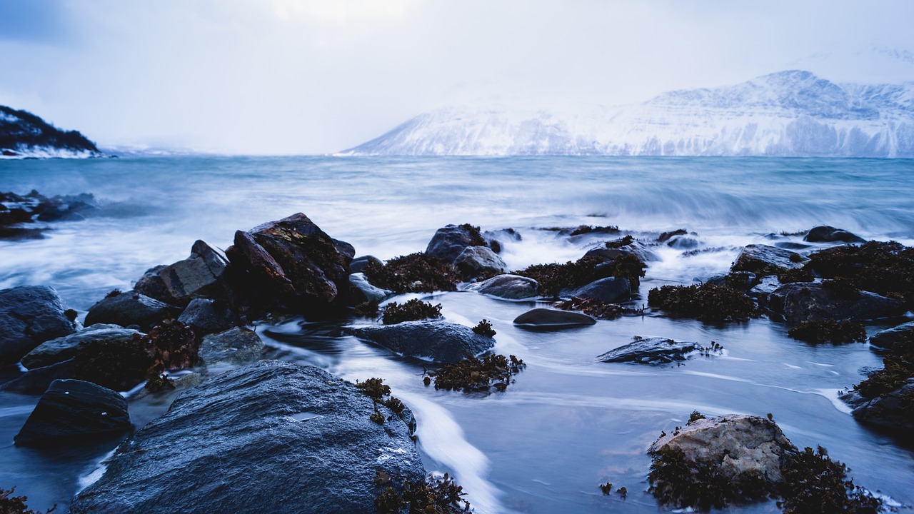 norvegia