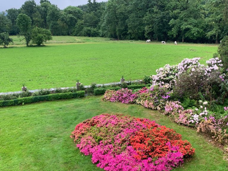 parco di palazzo malingri di bagnolo