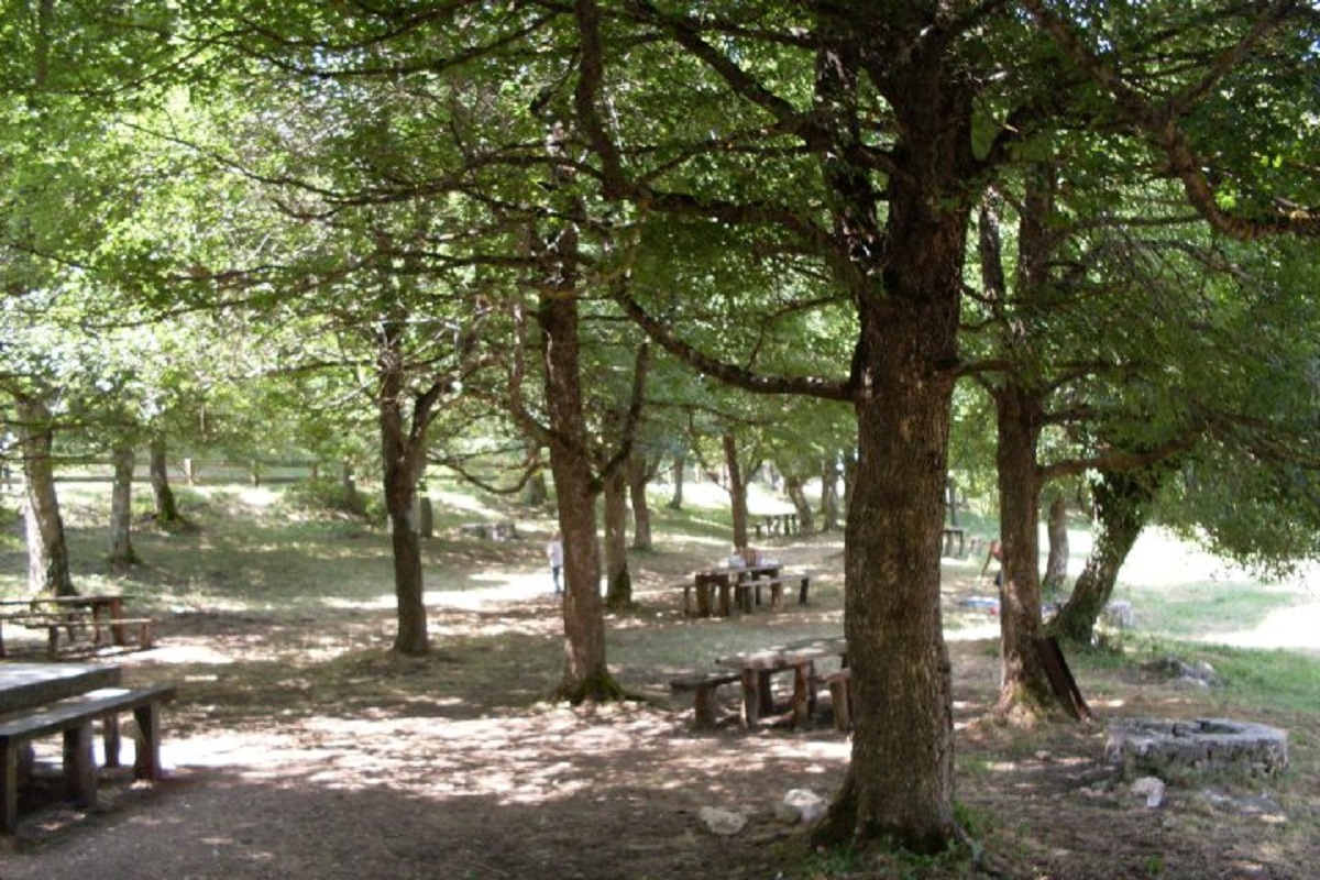 parco di pinocchio molise