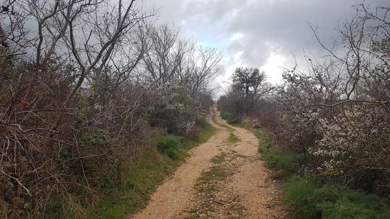 parco nazionale alta murgia trekking