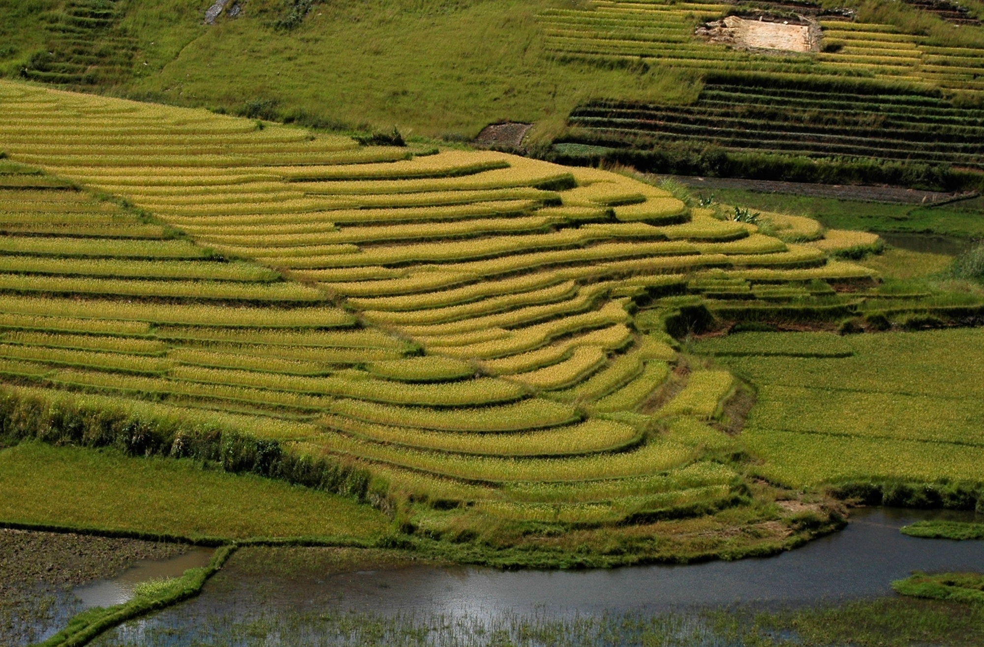 parco nazionale di ranomafana madagascar