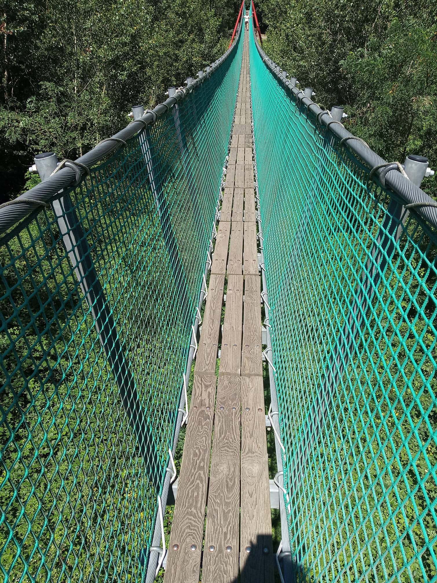 Ponte
