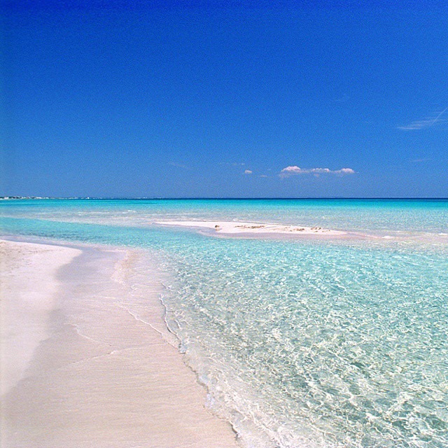 Punta Prosciutto