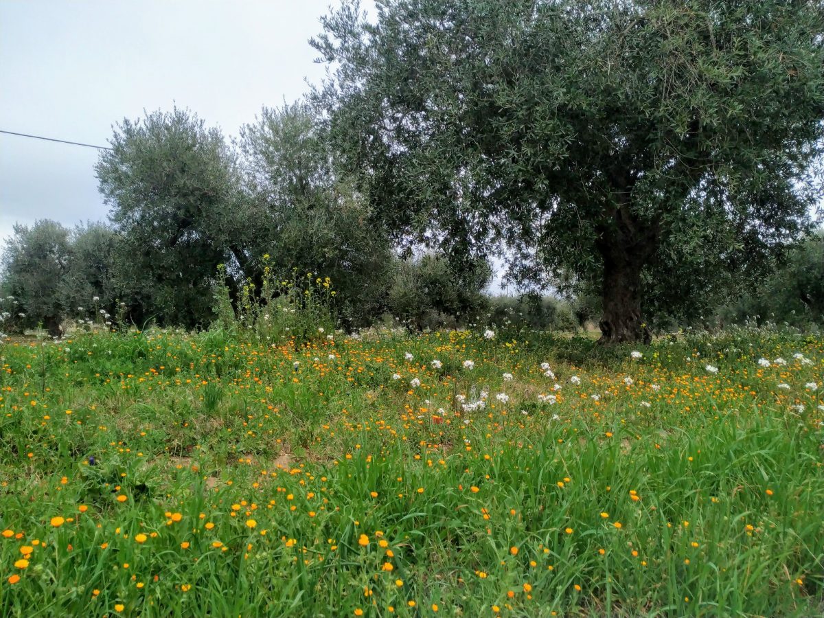 riserva basilicata
