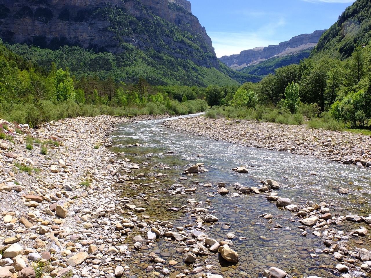 Pirenei