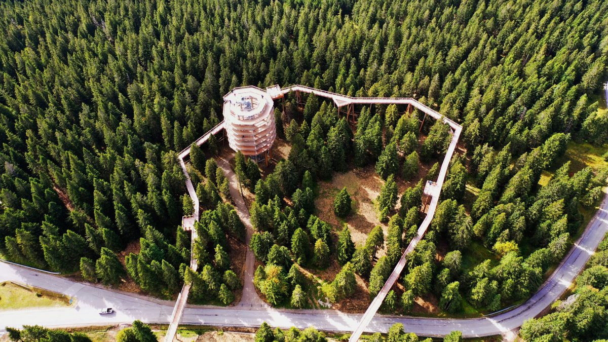 rogla-45
