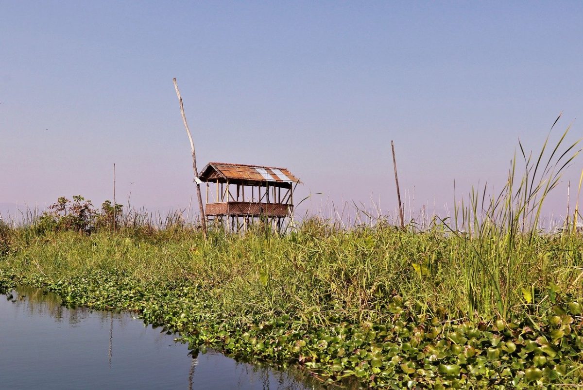 stilt-4