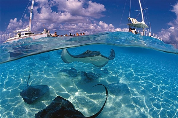 Stingray City Sandbar