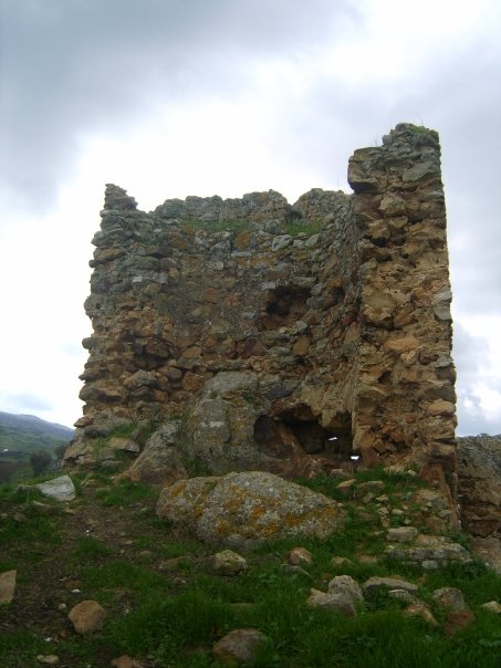 Torre
