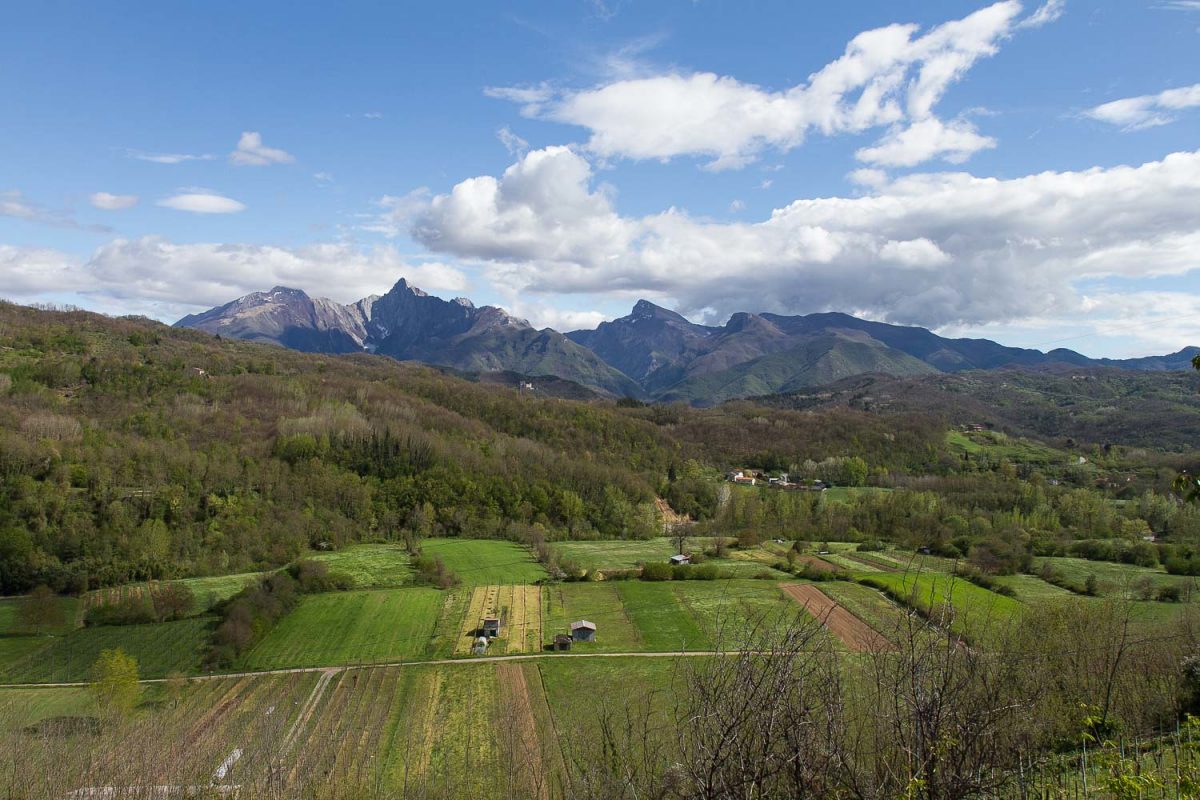 237237