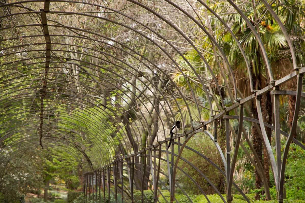 giardino madrid