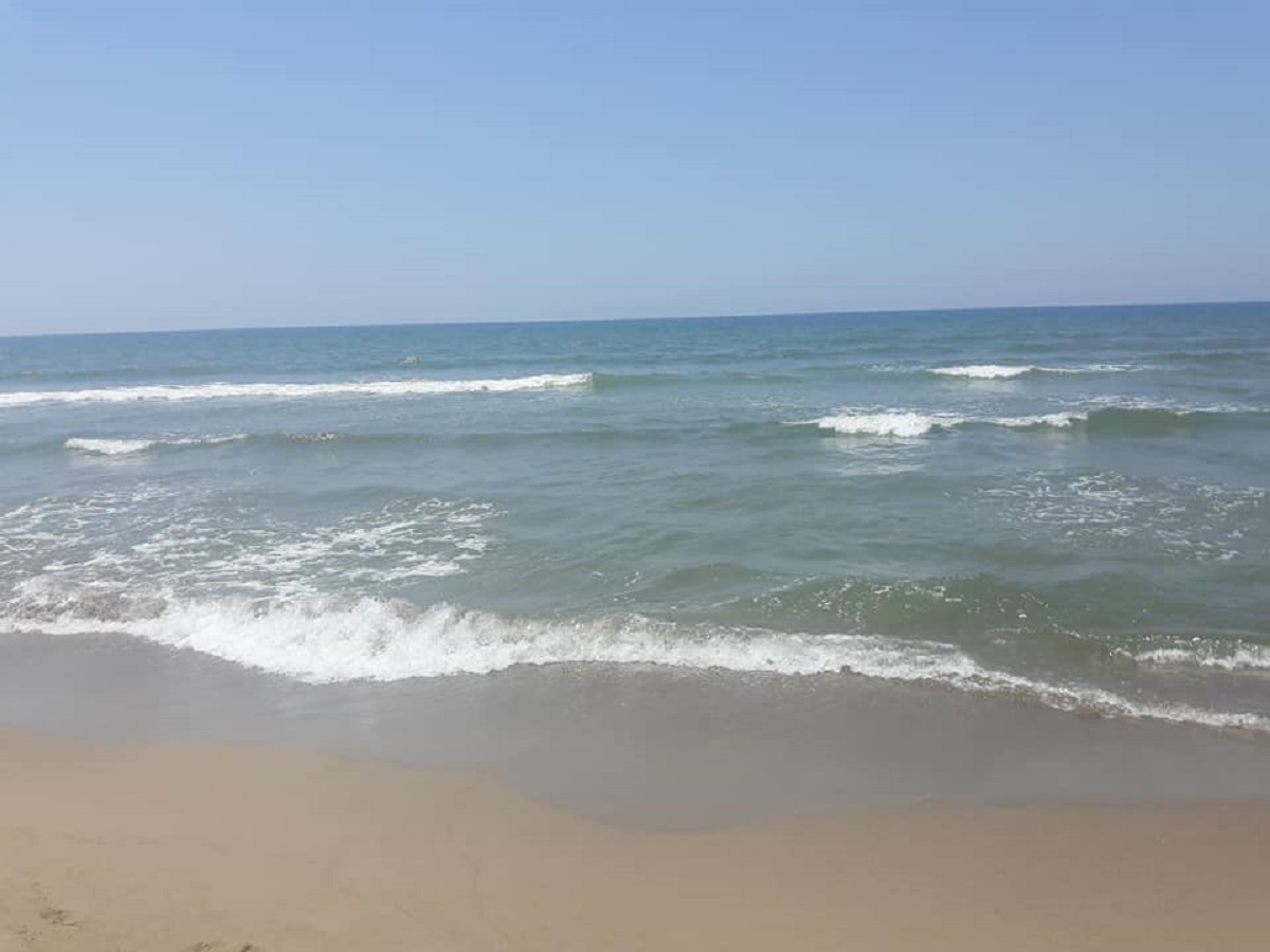 barletta