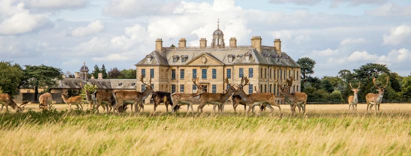 Belton House