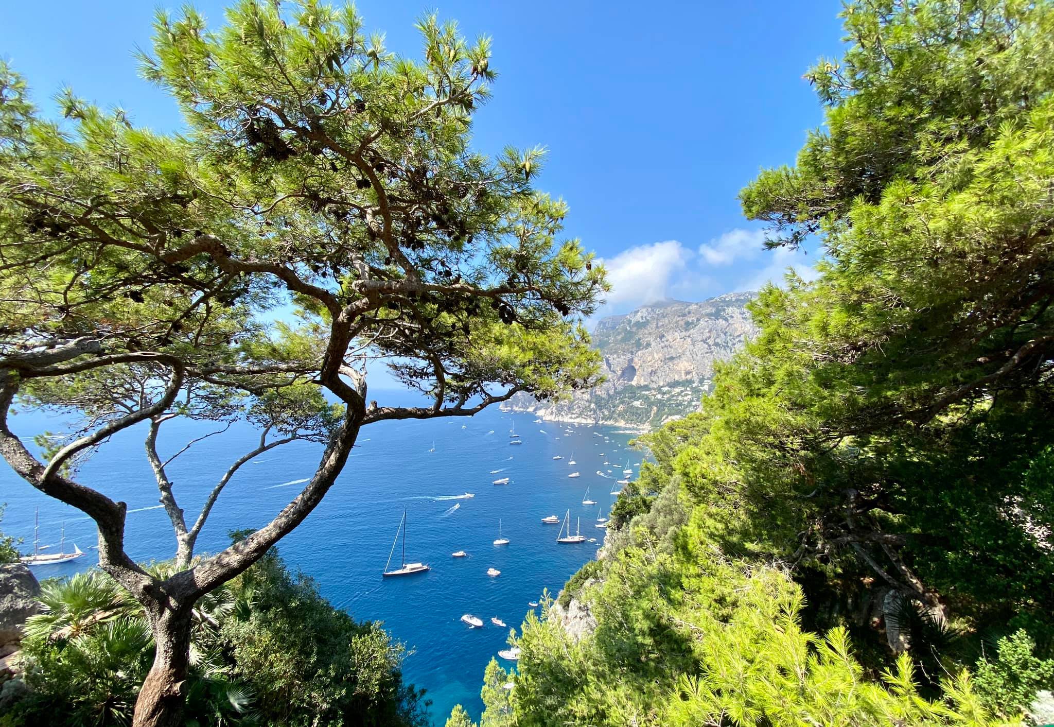 belvedere tragara capri
