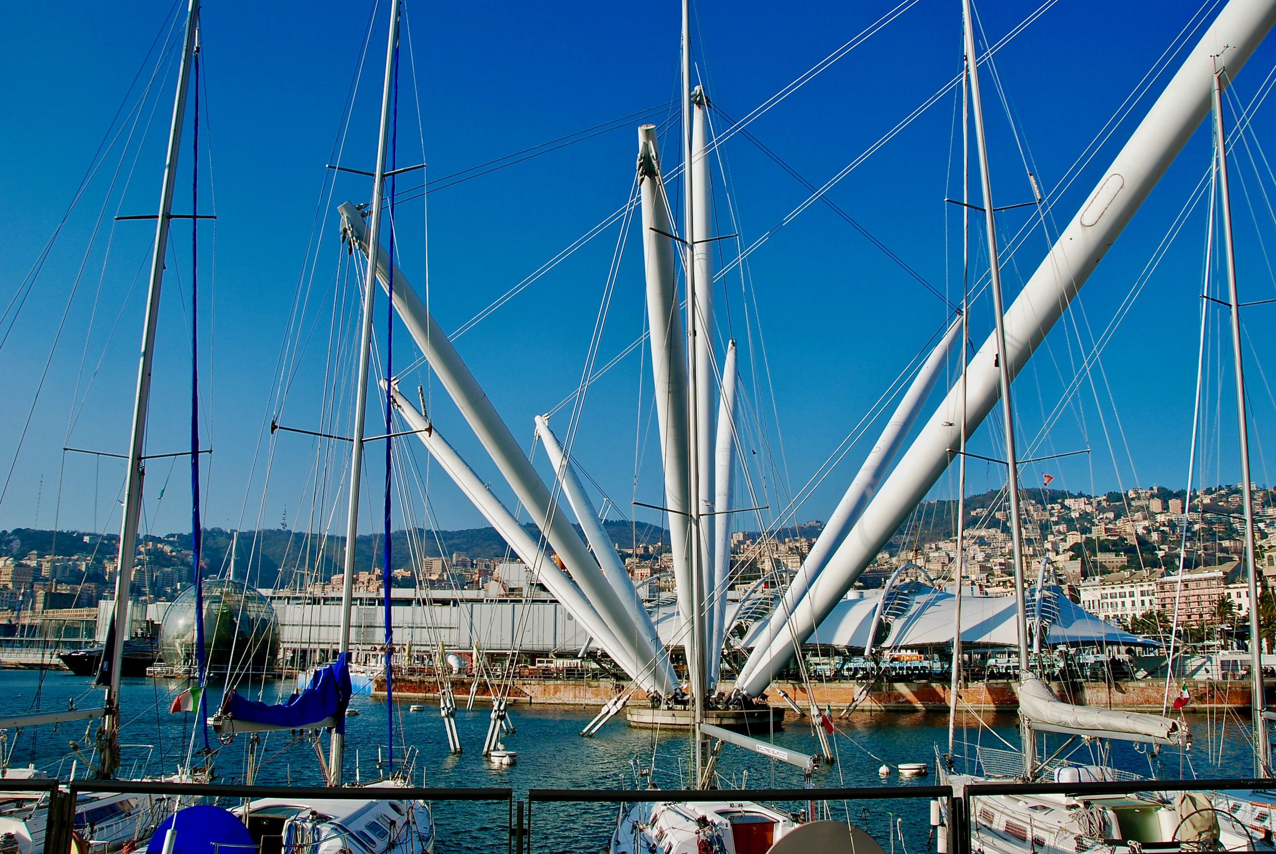 bigo genova prezzo