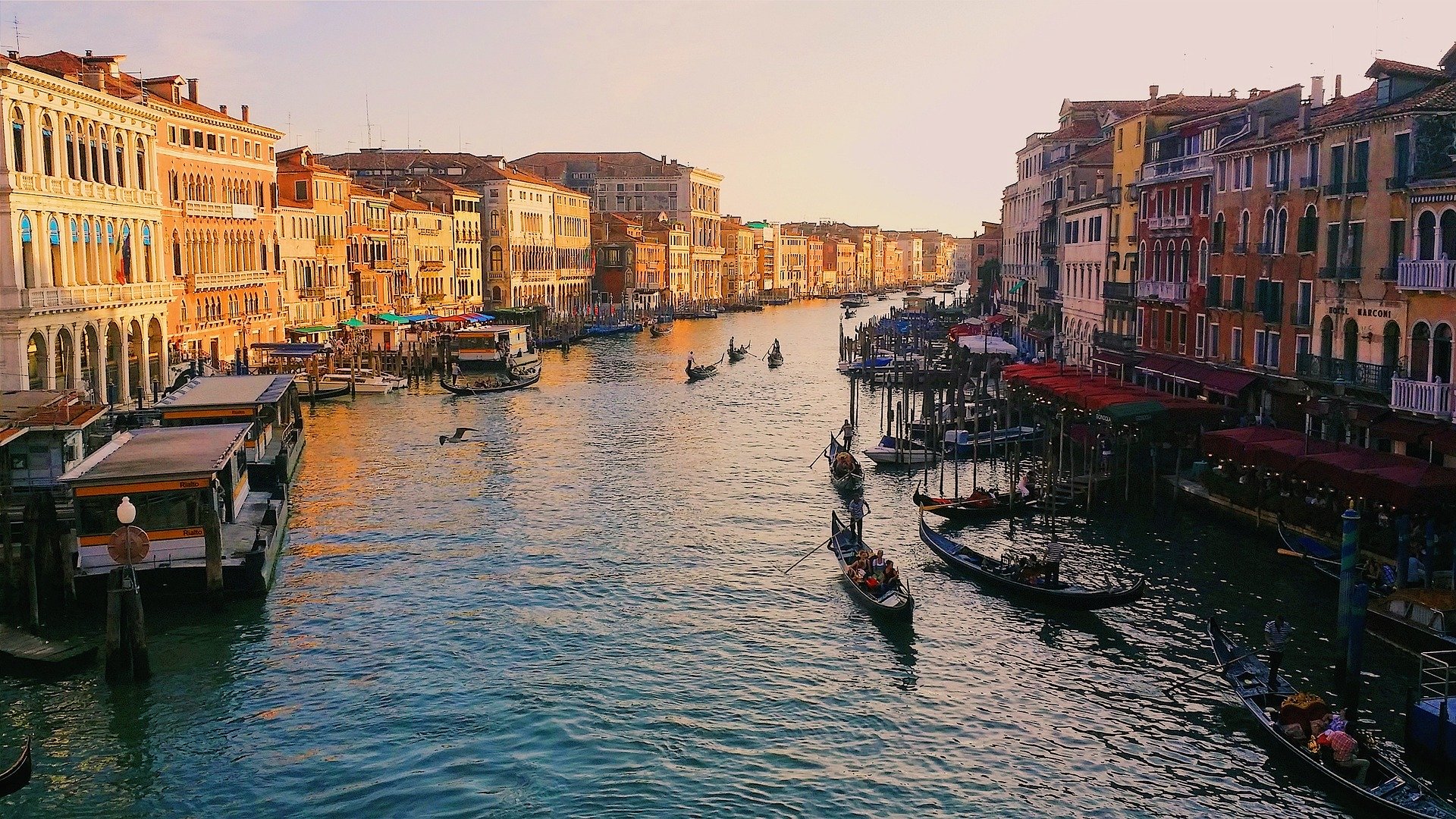 canal grande venezia curiosità
