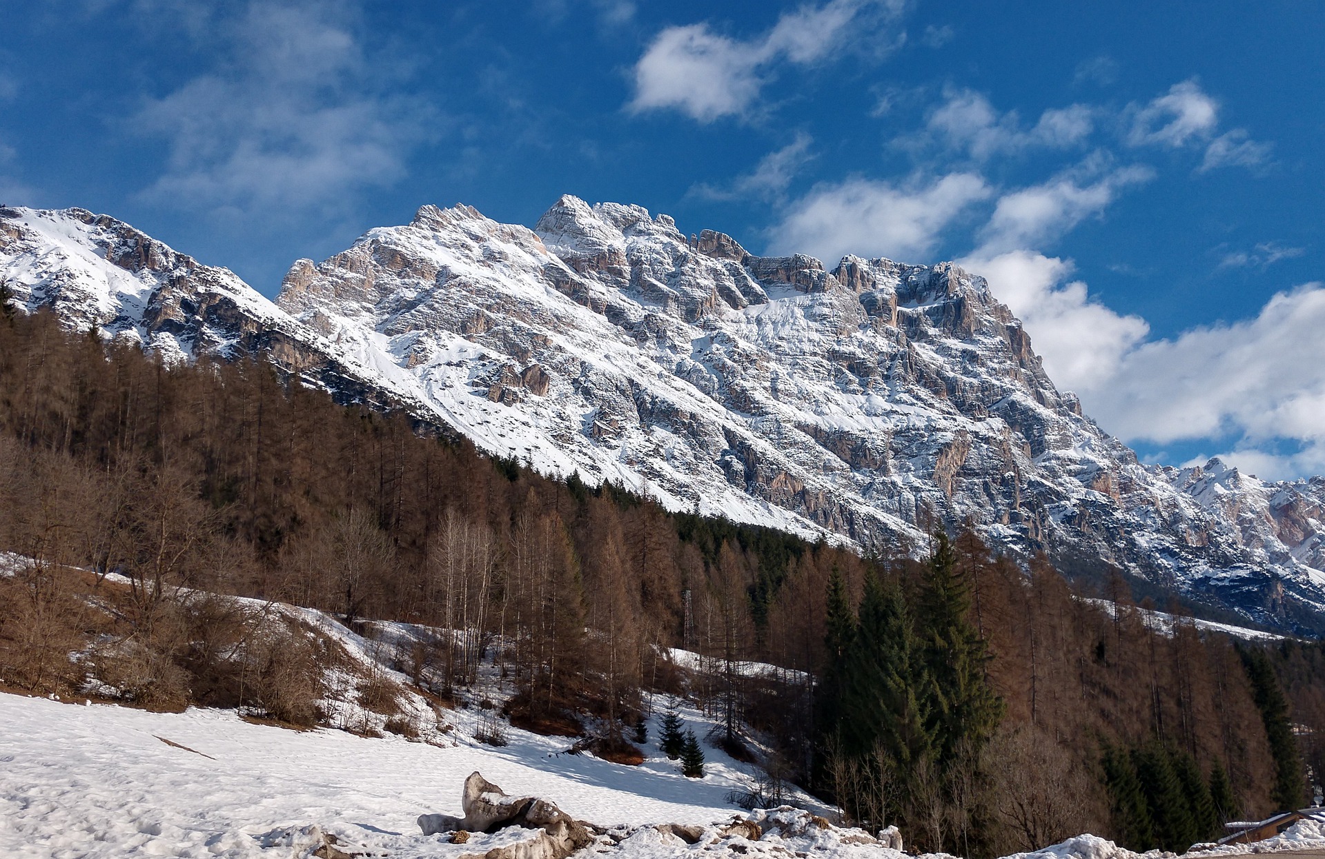 cortina-47