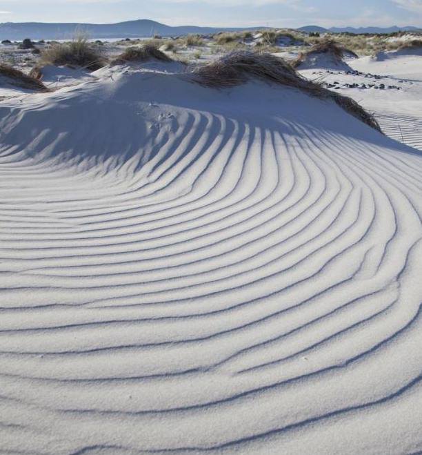 Dune