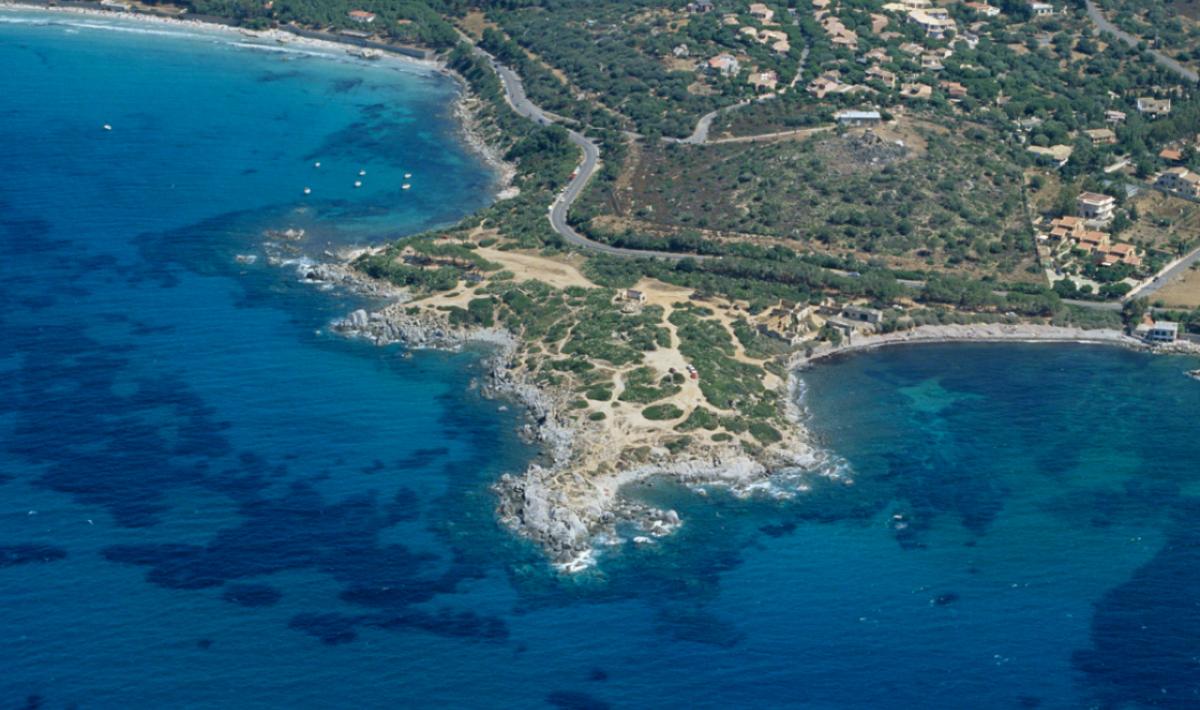 Foresta demaniale del Campidano