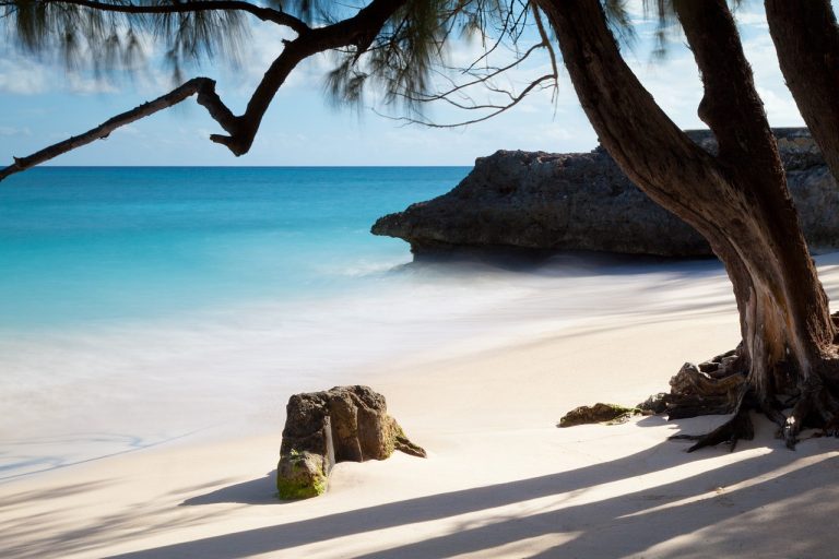 isole barbados smart working
