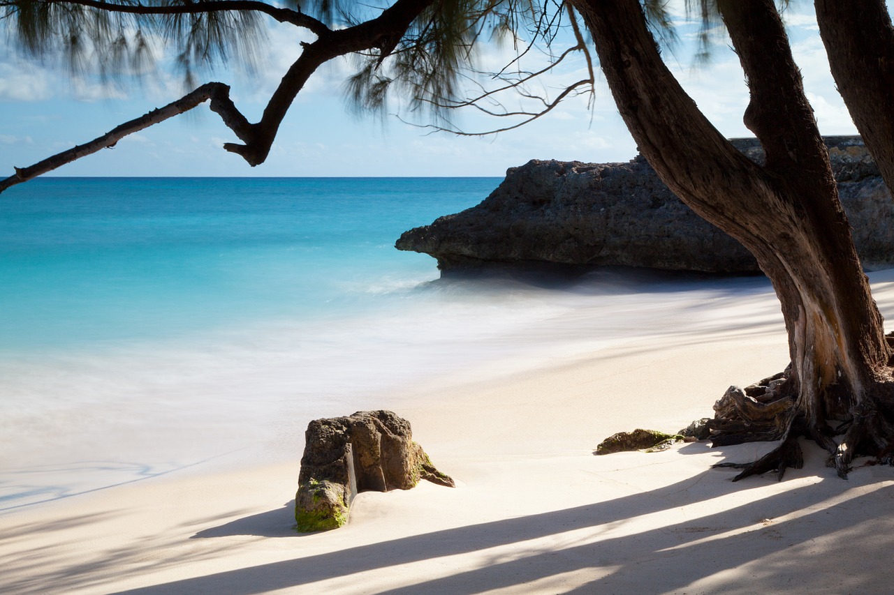 isole barbados smart working