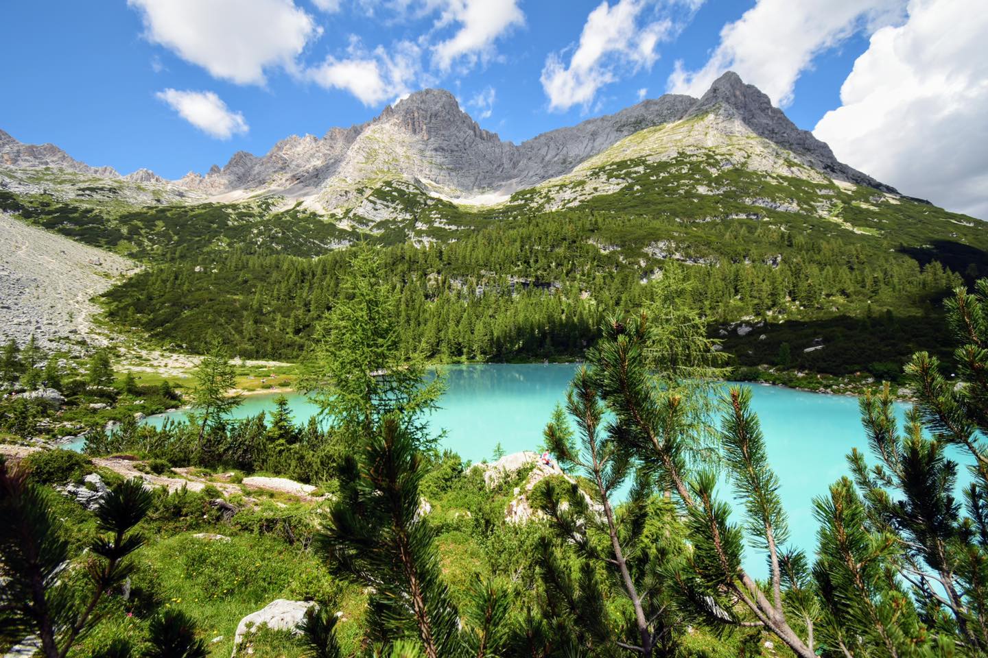 lago sorapis sentiero con cani