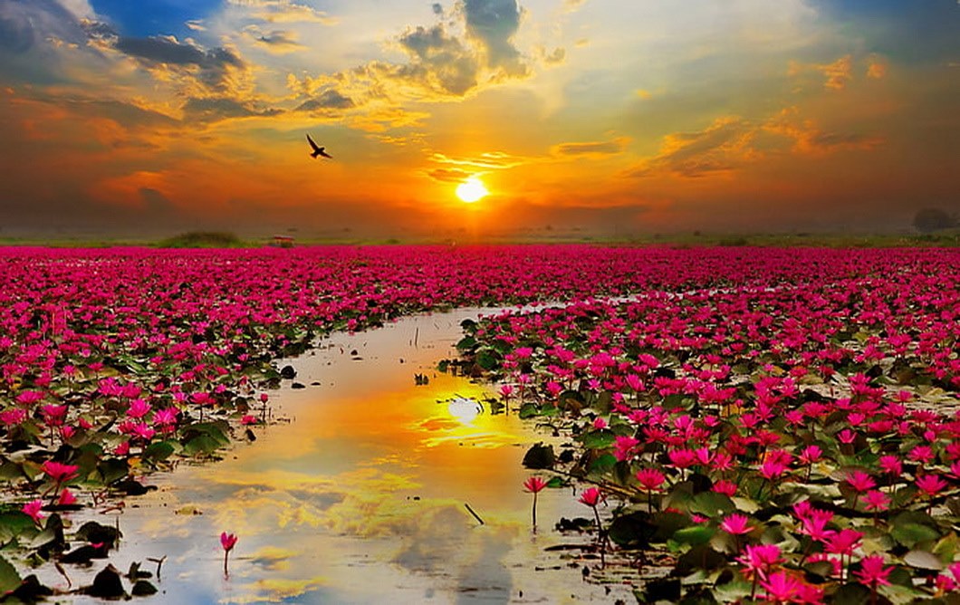Lago thailandia