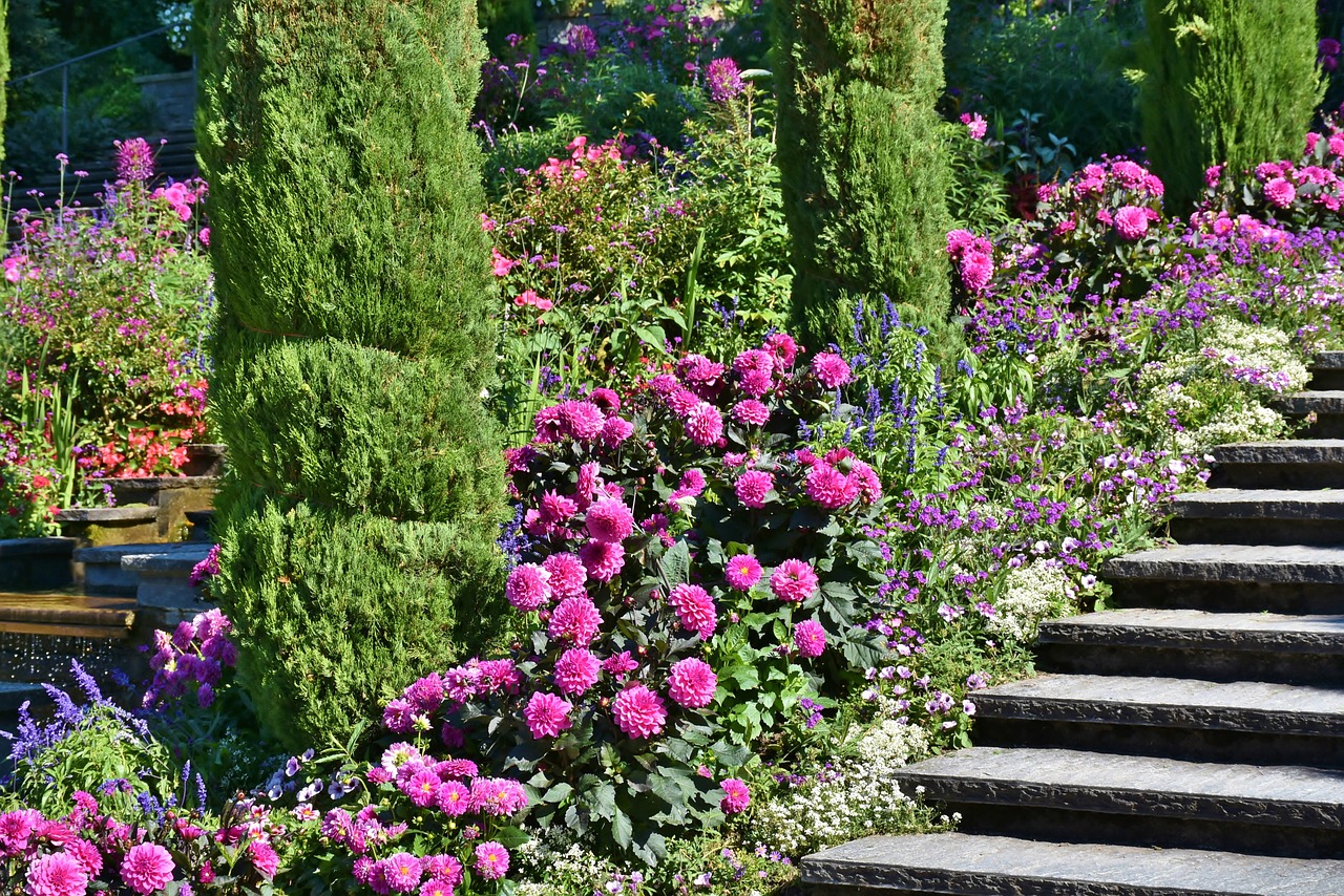 mainau