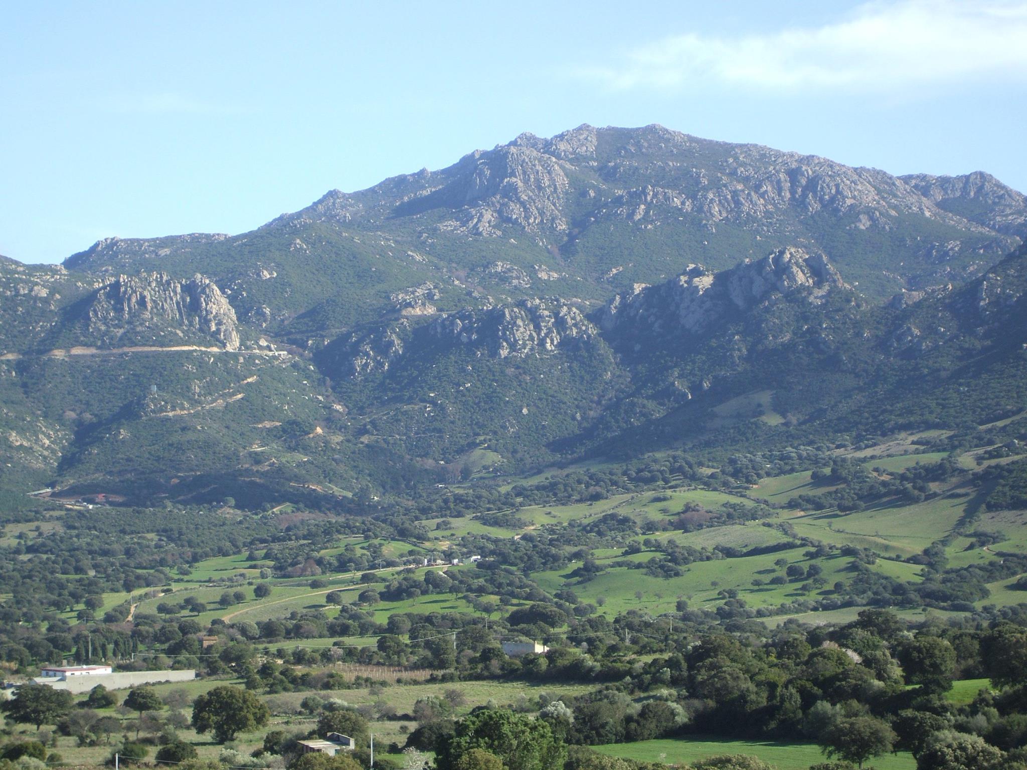 Monte Nieddu
