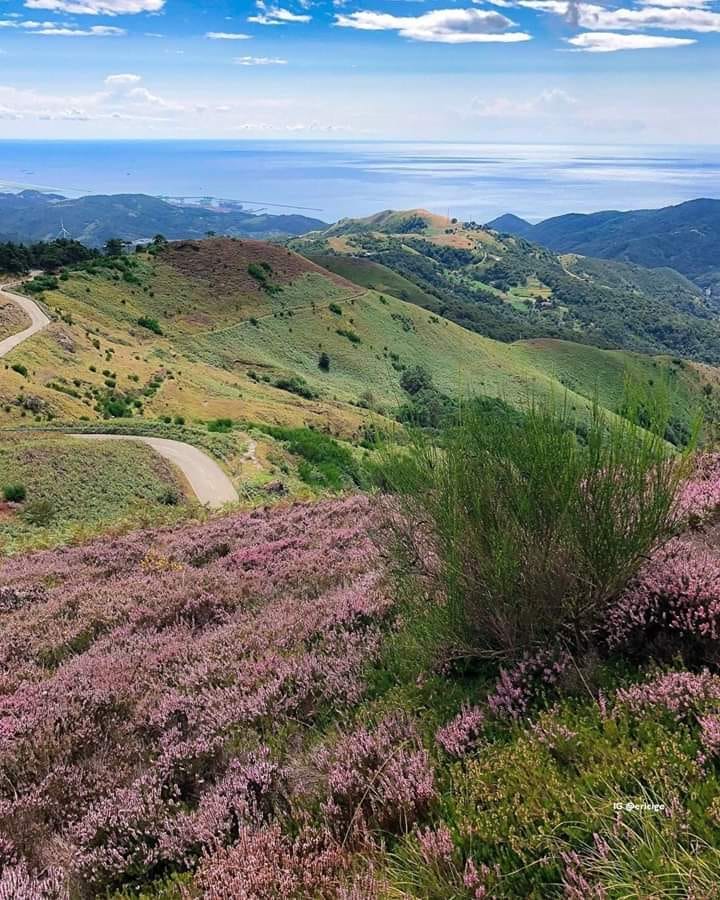 Passo del Faiallo