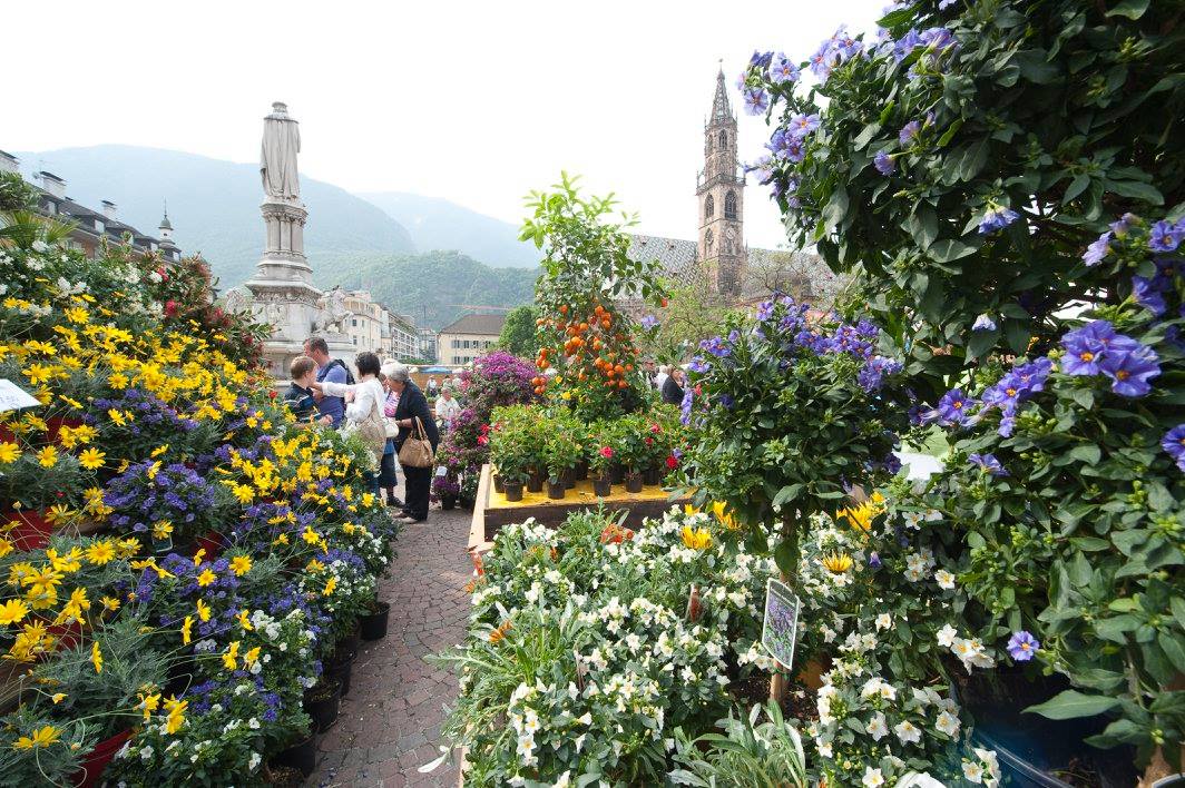 Piazza Walther